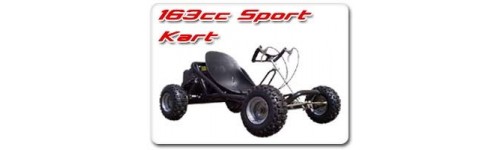 163cc Sport Kart Parts