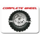 Complete Rear Wheel w/disc and bearing